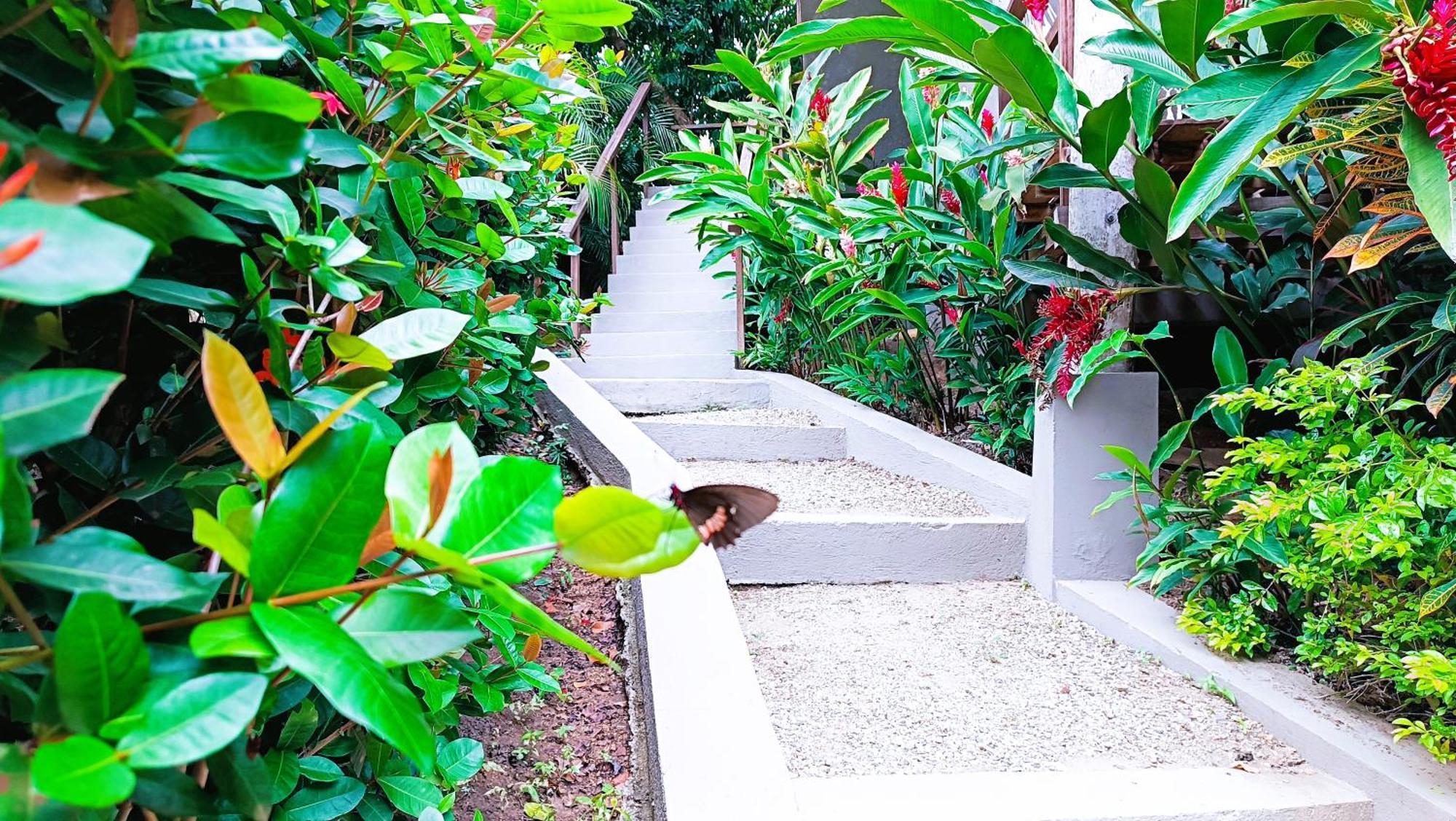 Hotel Isabella Tayrona Los Naranjos Esterno foto