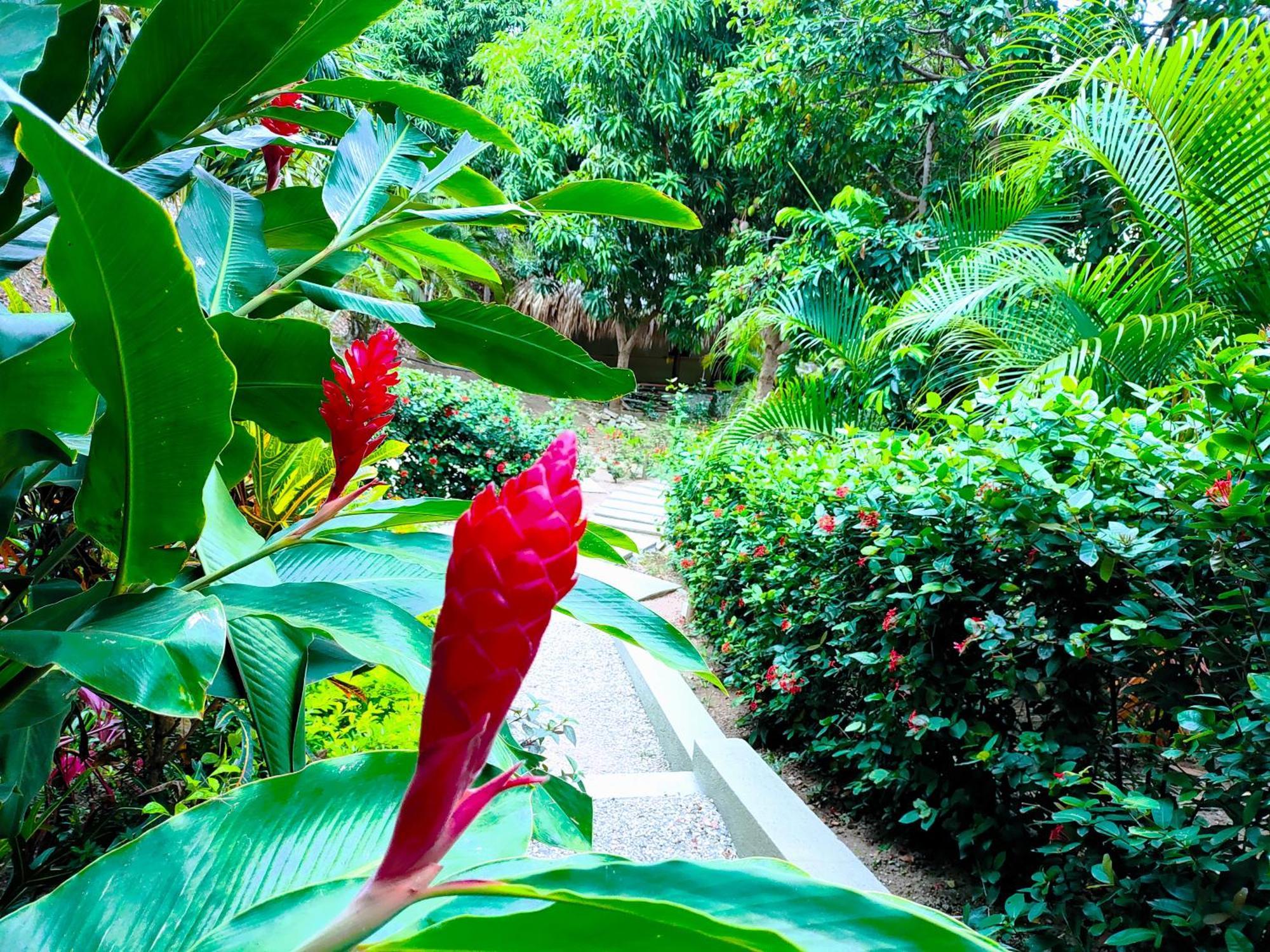 Hotel Isabella Tayrona Los Naranjos Esterno foto