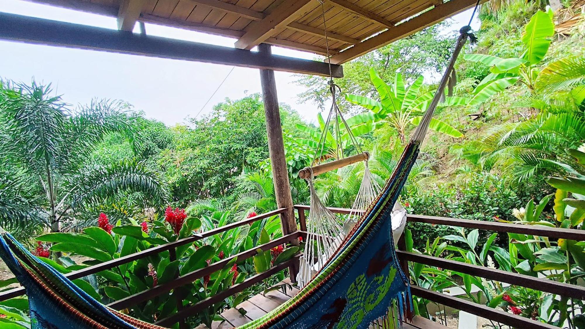 Hotel Isabella Tayrona Los Naranjos Esterno foto