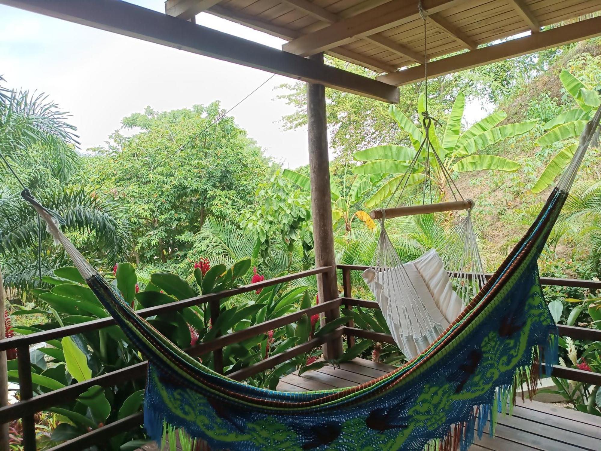 Hotel Isabella Tayrona Los Naranjos Esterno foto